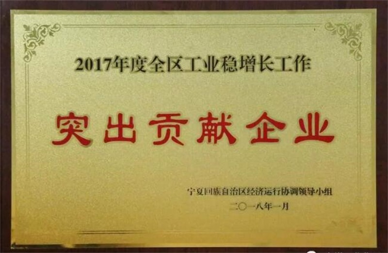 2017年全區(qū)工業(yè)穩(wěn)增長(zhǎng)工作突出貢獻(xiàn)企業(yè)7.jpg